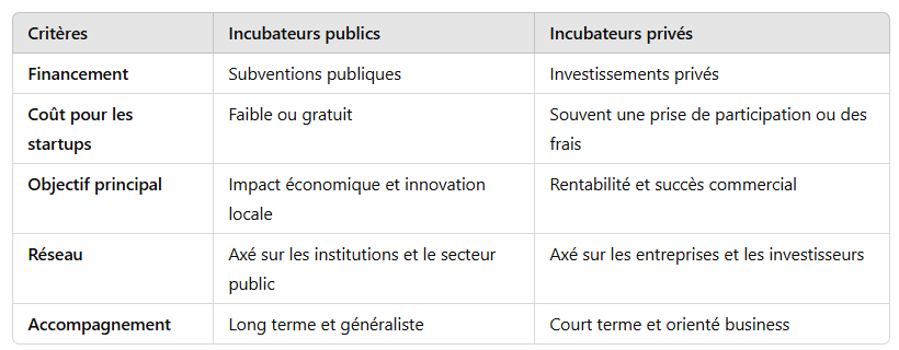 3. Différences clés entre incubateurs publics et privés